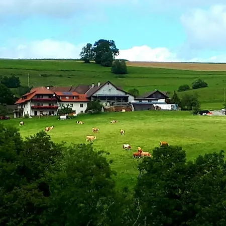 Ferienwohnung Eckert דירה Weilheim